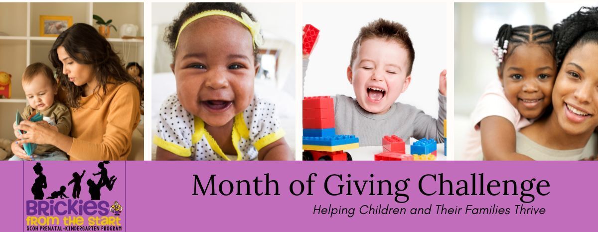 Brickies From the Start Month of Giving Challenge 